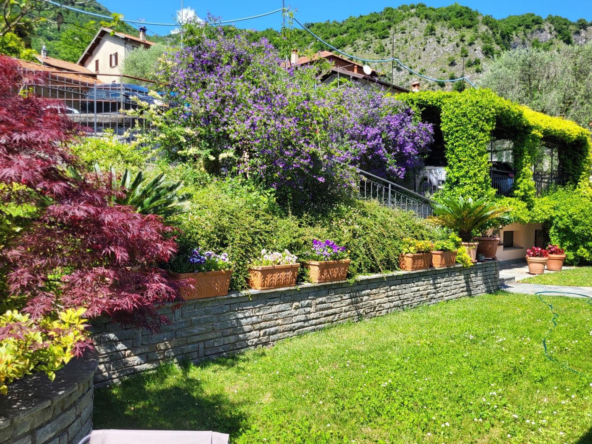 Casa Intignano - Appartamento Con Terrazzo Vista Lago Tremezzo Buitenkant foto