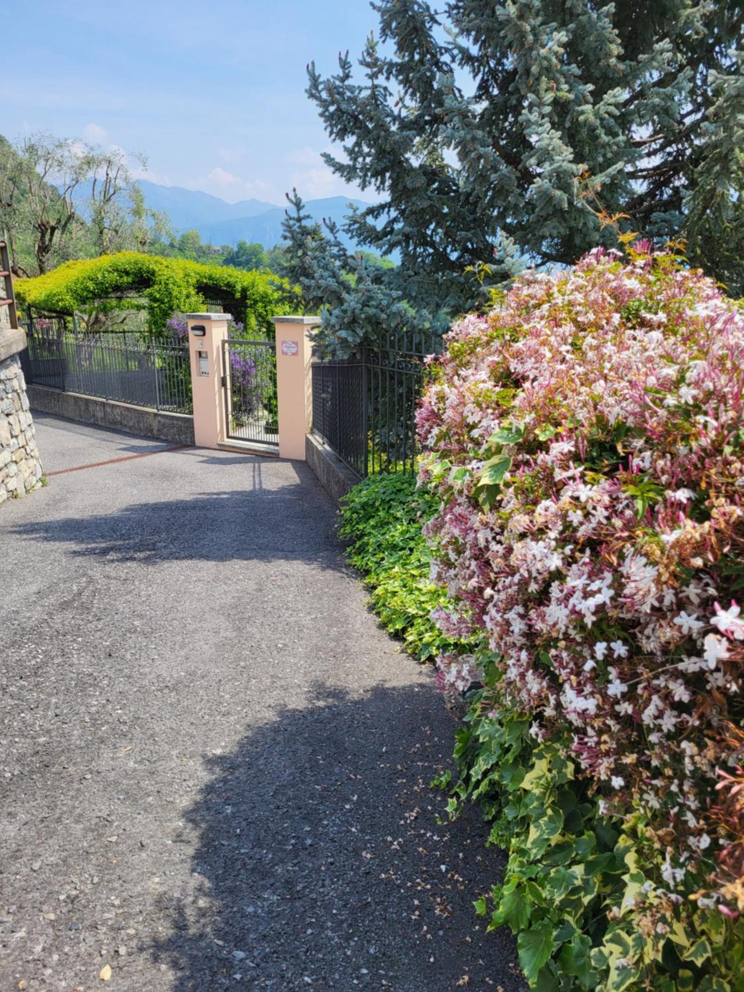 Casa Intignano - Appartamento Con Terrazzo Vista Lago Tremezzo Buitenkant foto